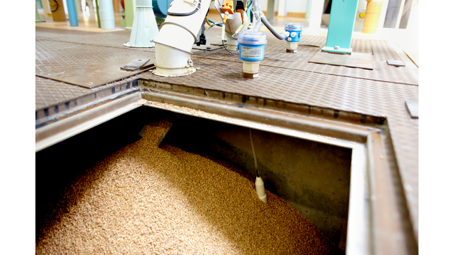 德國E+H 電容式限位檢測Minicap FTC262